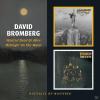 David Bromberg - Wanted D...