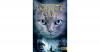 Warrior Cats - Die Macht ...