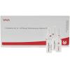 Wala® Conjunctiva Gl D 6