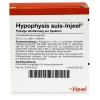 Hypophysis suis-Injeel® A