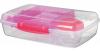 LUNCH Brotdose Bento Box, inkl. Joghurt-Dose, pink