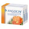 Angocin® Anti-Infekt N