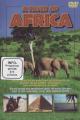 A Taste of Africa - (DVD)