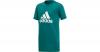 T-Shirt Gr. 152 Jungen Kinder