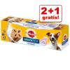 2 + 1 gratis! 3 x Pedigre