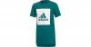 T-Shirt Gr. 176 Jungen Kinder