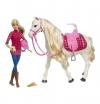 Barbie Puppe mit Traumpfe