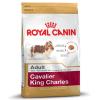 Royal Canin Cavalier King...