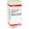 Lycopodium D 4 Tabletten