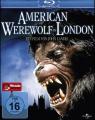 American Werewolf In Lond...
