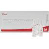 Wala® Endometrium Gl D 15