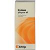 Synergon Komplex 69 Erysimum Tropfen