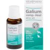 Galium comp.-Heel® ad us....