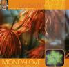 Money-Love (Den Geldfluss