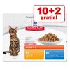 10 + 2 gratis! 12 x 85 g ...