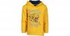 Kapuzenpullover Gr. 110 Jungen Kinder