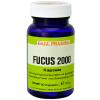 Gall Pharma Fucus 2000 Ka