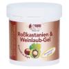 Rosskastanien Weinlaub Ge