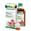 Echinacea SAFT Sonnenhut ...