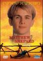 DIE MATTHEW SHEPARD STORY...