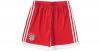 Trainingsshorts FC Bayern München Gr. 176 Jungen K