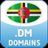 .dm-Domain