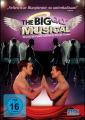 BIG GAY MUSICAL - (DVD)