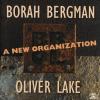 Bora & Oliver Lake Bergman - A NEW ORGANIZATION - 