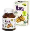 Maca BIO