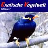 Various - Exotische Vogel