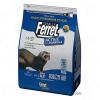 Totally Ferret Active - 7