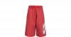 Kinder Shorts Aluminium Gr. 158/170