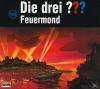 Die drei ??? - 125: Feuer