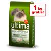 6,5 kg + 1 kg gratis! Ultima Cat Trockenfutter - S