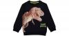 Dino World Sweatshirt Gr. 116 Jungen Kinder