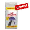 Royal Canin Feline Katzen...