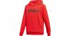 Sweatshirt mit Kapuze Gr. 176 Jungen Kinder