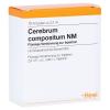 Cerebrum Compositum NM Ampullen