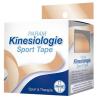 Param Kinesiologie Sport 