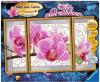 Ravensburger Wilde Orchid...