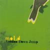 Mold - Voodoo Down Jump - (CD)
