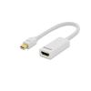 ednet DisplayPort Adapter