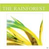 Instrumental Sounds Of Nature - The Rainforest - (