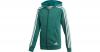 Sweatjacke mit Kapuze Gr. 140 Jungen Kinder