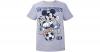 Disney Mickey Mouse & fri...