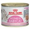 Royal Canin Babycat - 6 x