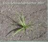 Erich Schmeckenbecher - R