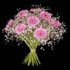 Daydream - Fleurop Blumen