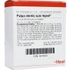 Pulpa dentis suis-Injeel®...