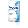 Nicotinell® Spearmint 2 m